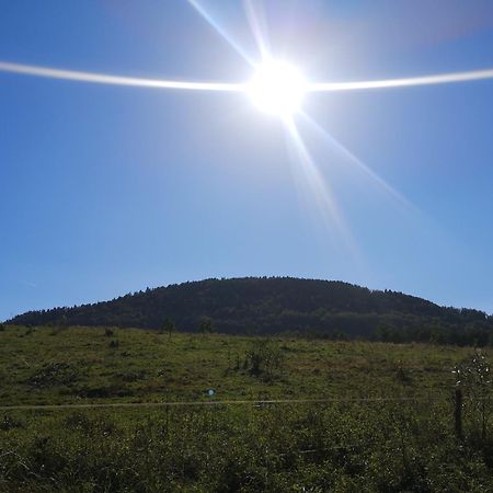 Domek Nasze Miejsce Lomnica  Eksteriør bilde